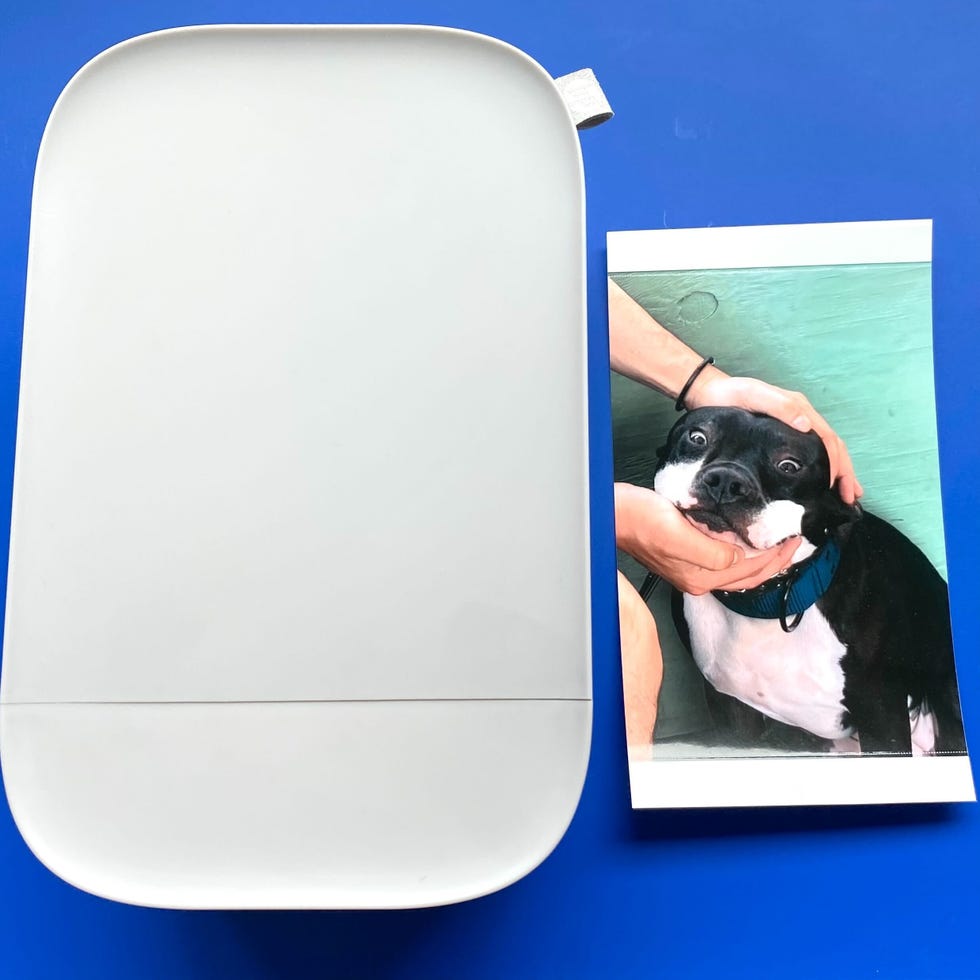 2 Best Portable Photo Printers, Tested and Reviewed