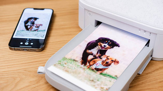 The Best Instant Photo Printers of 2024