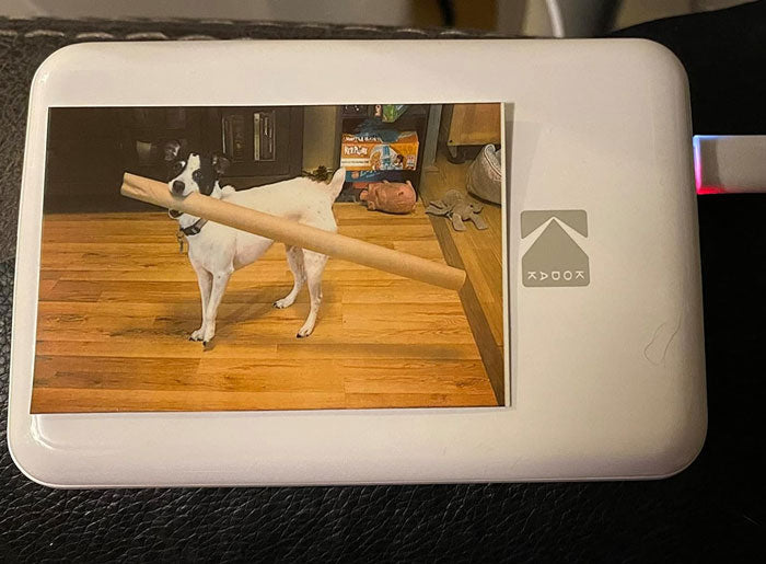 100 Must-Have Gifts That Basically Everyone Will Want