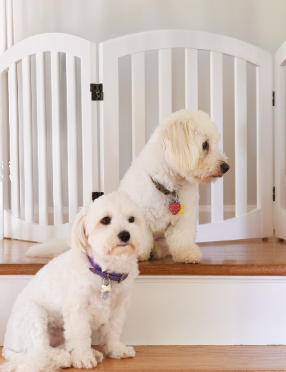 Arf Pets Wood Dog Gate